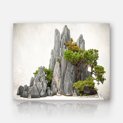 3D 바위와 소나무 (50x40cm) [액자포함]